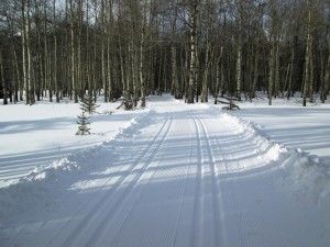 Hay meadow trail was in the best condition I've ever seen