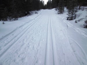 The tracks were well-defined and clean on Goat creek at 4K