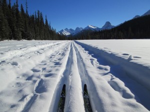 The trail near Mt Engadine Lodge
