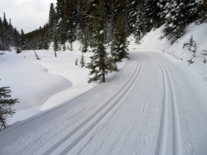 Elk pass was trackset early today