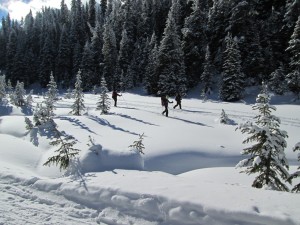 Some skiers preferred being OFF the groomed trail along Elk pass