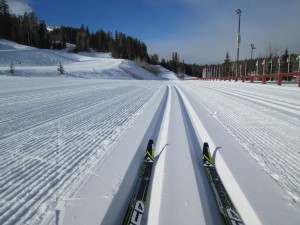 Daily grooming and fantastic conditions have made the Canmore Nordic Centre very popular with xc skiers