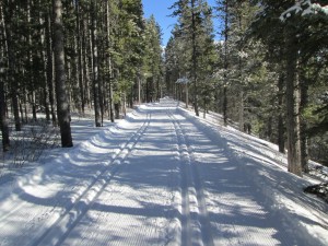 Wheeler trail in Peter Lougheed Provincial Park