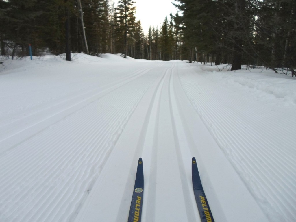 Brand new grooming on Terrace trail