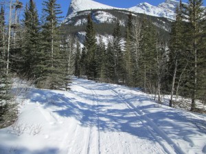 Excellent tracks and snow on Goat creek