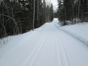 Aspen trail