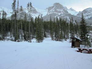 The Canmore Nordic Centre has some incredibly beautiful scenery