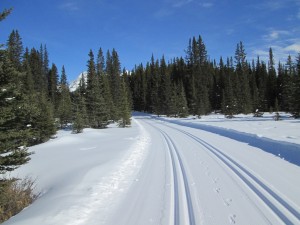 Lower lake trail