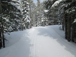 The Bill Milne trail near Mt Kidd RV park