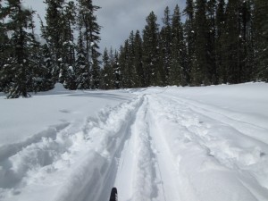 Fairview had about 20 cm of consolidated fresh snow