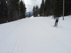 Banff trail at Canmore Nordic Centre