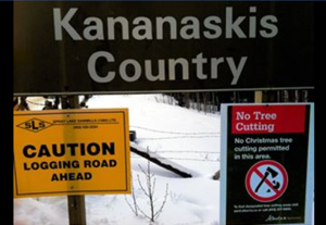 This photo is of the entrance to Kananaskis in West Bragg Creek from the past winter. On one side, there is a warning that there is a logging road ahead and on the other, a sign stating that Christmas tree cutting is prohibited. Photo by  Bragg Creek & Kananaskis Outdoor Recreation(BCKOR).