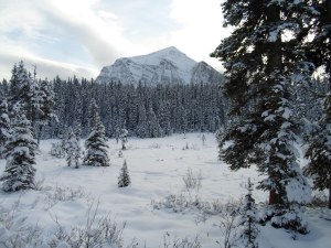 Scenery along the Great Divide in Lake Louise