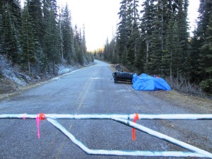 Same story on the Great Divide trail, no snow. 