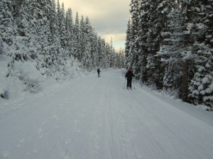 This is about 300 metres from the trailhead on Moraine Lake road