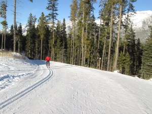 Classic skiers enjoyed a well-defined, excellent track 
