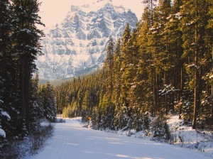 Moraine Lake road offers some magnificent scenery