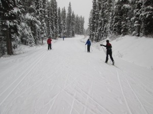 Moraine Lake road was trackset yesterday but already had about 4 cm of new snow