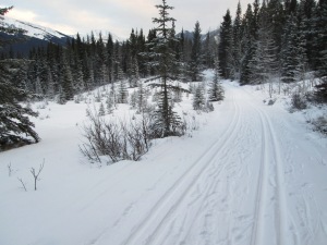 Aspen trail was in nice shape