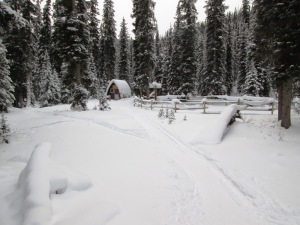 Warden's cabin at the end of the trail. You'll have skied 10.6K, and gained a net elevation of  330 metres.  Total ascent of 410 metres. 