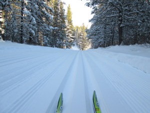 I was thrilled to be skiing up Whiskey jack 