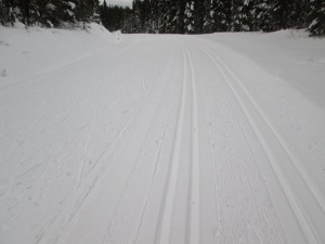 Brand new tracks on Moraine Lake road