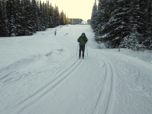 Excellent tracks and cold snow on Elk pass today
