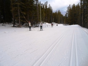 Banff trail at the Canmore Nordic Centre is quadruple trackset and has a skating lane
