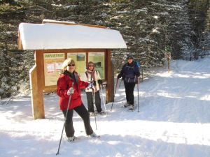 Snowshoers at the Banff park boundary which is 900 metres from the Goat creek trailhead