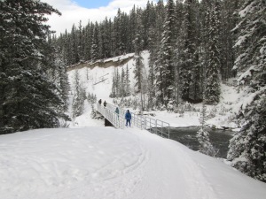Skiers starting on the Spray river east trail