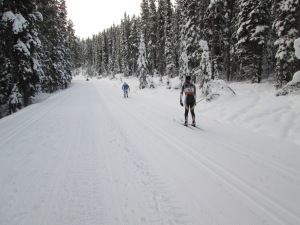 Racers on Moraine Lake road. Take note that one side of the trail was still open to recreational skiers. 