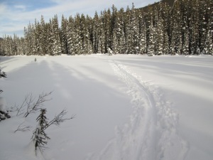 Skier tracks in deep snow on the Pipestone river