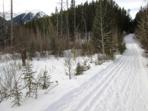 Starting up the Healy Creek trail