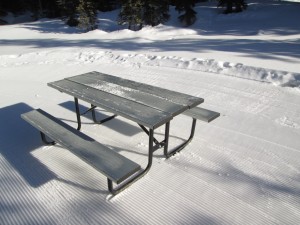 Tyrwhitt picnic table. Where are the tracks?