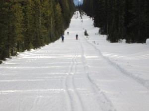 How many skiers can you count on the Great Divide trail?