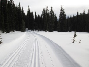 A snowmobile had been over the trails but the snow in the middle was still soft