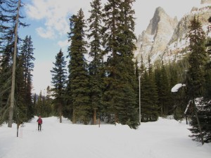 There's stunning scenery around every corner on the Lake O'Hara fire road