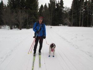 I missed skiing on Hay Meadow with Tessa (file photo from Feb 2014)