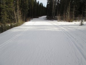 Natural snow conditions were mostly like this on Banff trail