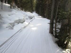 Best conditions of the winter on Fox Creek