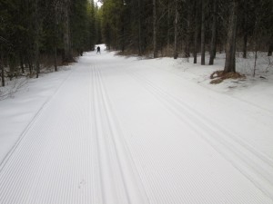 It was nice to ski on Rolly Road again