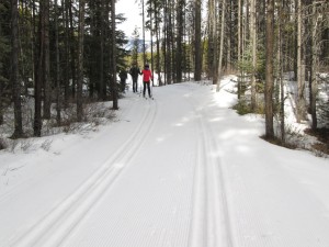 Skiers on Woolley