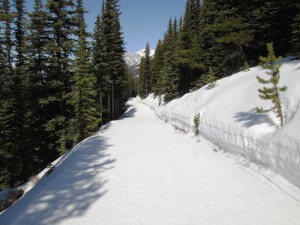 The trail to Kananaskis Fire Lookout
