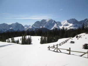 Looking south from the Kananaskis Fire Lookout