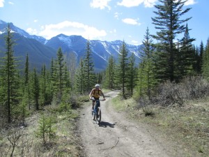 This biker was returning to the trailhead