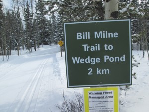 Bill Milne trail