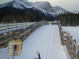 It'sd been a while since we've seen tracks on the bridge over Evan-Thomas creek on the Bill Milne trail. Photo by TSJ