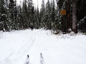 Jeannette breaks trail on Kicking Horse fire road. Photo by Chuck O'Callaghan