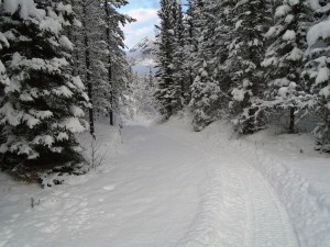Following the snowmobile track down Terrace trail