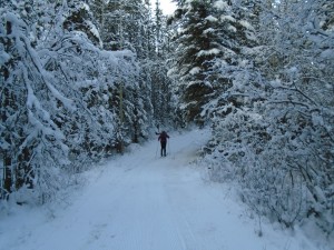 Kovach, between Terrace and Aspen, had some exposed dirt but there was always a snow-covered path to follow
